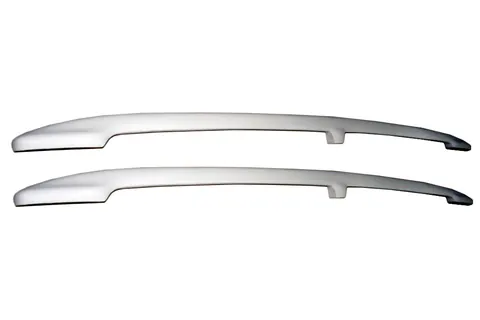 Рейлінги (під фарбування) для Ford Transit 2000-2014 рр — Ford Transit 2000–2014 гг. DianaParts