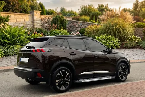 Бокові пороги New Vision Grey (2 шт., алюміній) для Peugeot 3008 2016-2023 рр — Peugeot 3008 2016-2023 гг. DianaParts