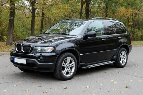 Бокові пороги Rainbow (2 шт, алюм.) для BMW X5 E53 1999-2006 рр — BMW X5 E53 1999–2006 гг. DianaParts