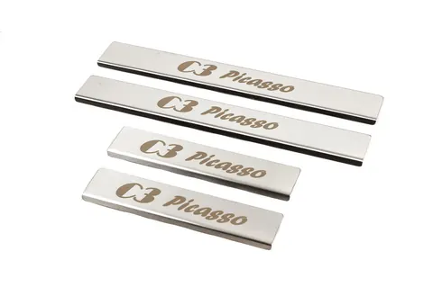 Накладки на пороги (Carmos) для Citroen C-3 Picasso 2010-2017 рр — Citroen C-3 Picasso 2010-2017 гг. DianaParts