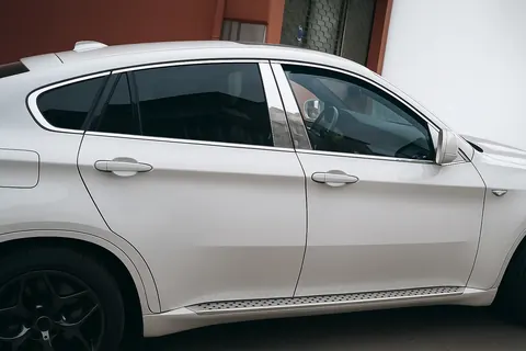 Повна окантовка вікон (10 шт., нерж.) для BMW X6 E71 2008-2014 рр — BMW X6 E71 2008-2014 гг. DianaParts
