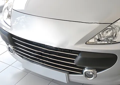 Накладки на решітку (2005-2008, 5 шт, нерж) для Peugeot 307 рр — Peugeot 307 2001-2008 гг. DianaParts