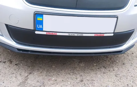 Зимова накладка на решітку (2011-2014, нижня) Глянцева для Skoda Fabia рр — Skoda Fabia 2007-2014 гг. DianaParts