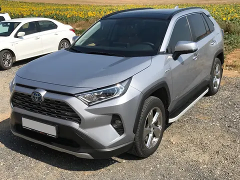 Бокові пороги Tayga Grey (2 шт., алюміній) для Toyota Rav 4 2019- рр — Toyota Rav 4 2019- гг. DianaParts