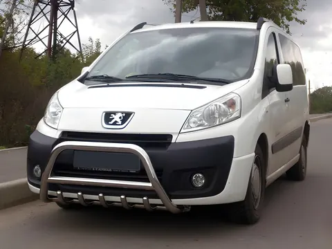 Кенгурятник WT003 (нерж.) 60мм для Citroen Jumpy 2007-2017 рр — Citroen Jumpy 2007-2017 гг. DianaParts