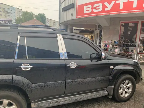Молдинг дверних стійок (8 шт, нерж) для Toyota Land Cruiser Prado 120 2002-2009 рр — Toyota Land Cruiser Prado 120 2002-2009 гг. DianaParts
