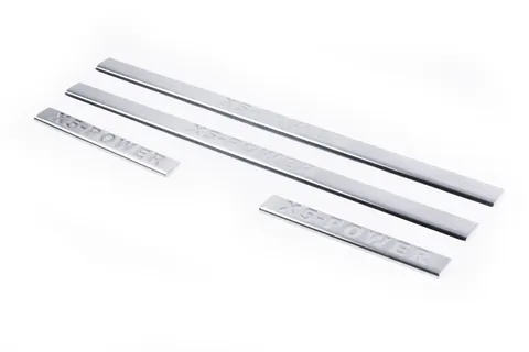 Накладки на пороги Carmos (4 шт., нерж.) для BMW X5 E53 1999-2006 рр — BMW X5 E53 1999–2006 гг. DianaParts