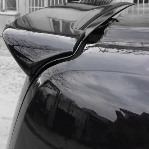 Спойлер Anatomic (під фарбування) для Ford Custom 2013-2022 рр — Ford Custom 2013-2022 гг. DianaParts