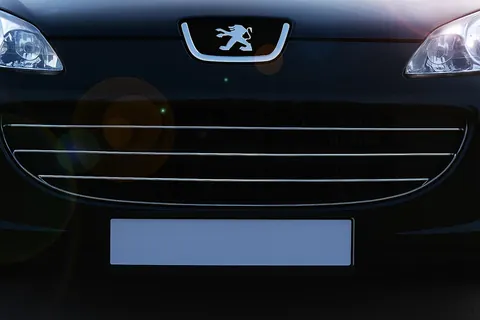 Накладки на решітку (3 шт, нерж) Carmos - Турецька сталь для Peugeot 407 2004-2011 рр — Peugeot 407 2004-2011 гг. DianaParts