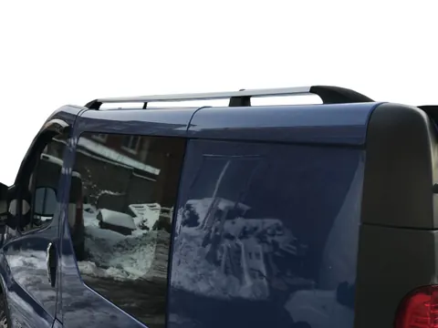 Рейлінги Хром Коротка, чавунні ніжки для Renault Trafic 2001-2015 рр — Renault Trafic 2001–2015 гг. DianaParts