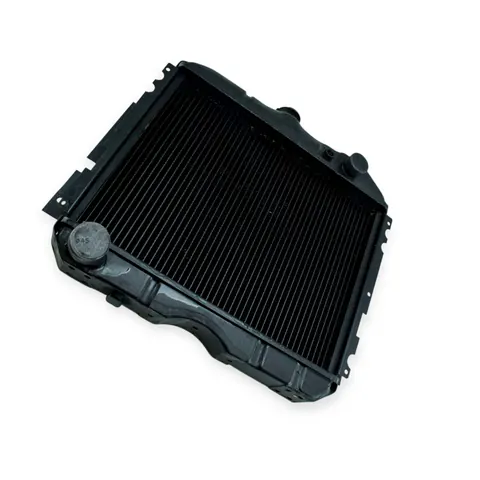 Радіатор охолодження двигуна ГАЗ 2410, 31029 2-х рядний Іран — Двигун DianaParts