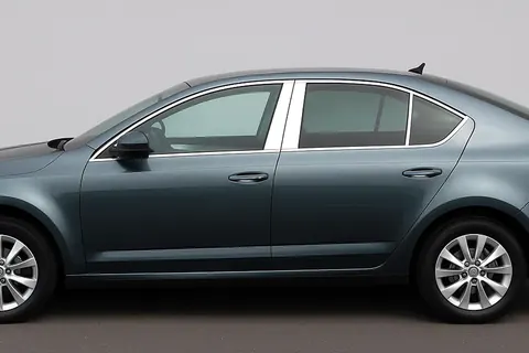 Молдинг дверних стійок (6 шт, нерж) для Skoda Octavia III A7 2013-2019 рр — Skoda Octavia III A7 2013-2019 гг. DianaParts
