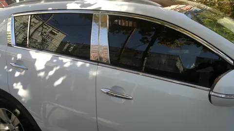 Молдинг дверних стійок (нерж.) для Ford Focus II 2008-2011 рр — Ford Focus II 2008-2011 гг. DianaParts