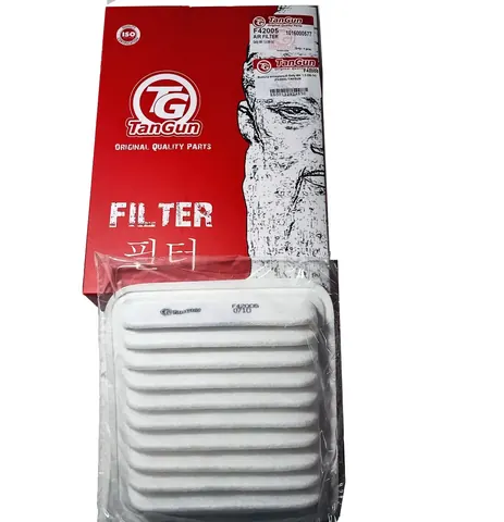 Фильтр воздуха F42005.Geely MK 1.5 08-14, ( TANGUN )