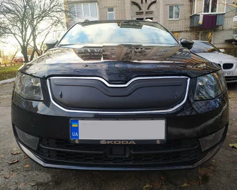 Зимова накладка на решітку (2013-2017) матова для Skoda Octavia III A7 рр — Skoda Octavia III A7 2013-2019 гг. DianaParts