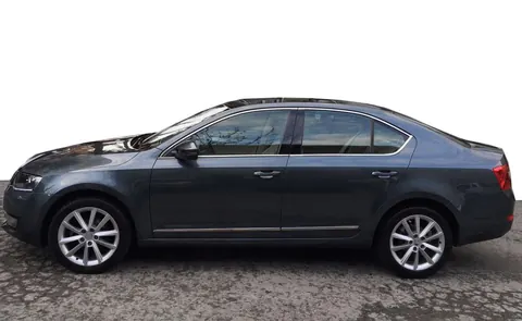 Повна окантовка вікон (10 шт, нерж) для Skoda Octavia III A7 2013-2019 рр — Skoda Octavia III A7 2013-2019 гг. DianaParts