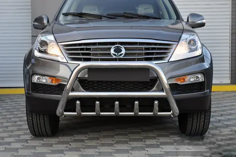 Кенгурятник WT003 (нерж) для SsangYong Rexton I 2001-2017 рр — SsangYong Rexton I 2001-2017 гг. DianaParts