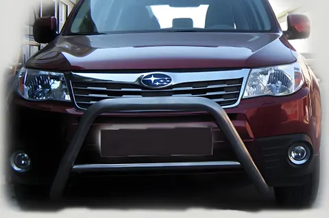 Кенгурятник WT005 (нерж.) для Subaru Forester 2008-2013 рр — Subaru Forester 2008-2013 гг. DianaParts