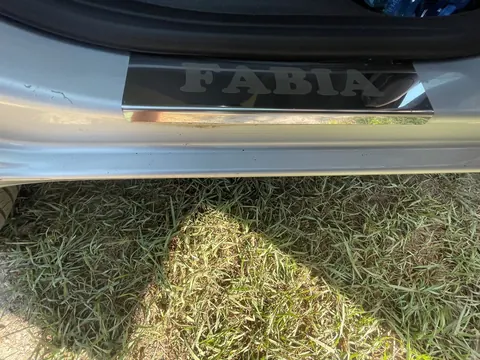 Накладки на пороги Carmos (4 шт., нерж.) для Skoda Fabia 2007-2014 рр — Skoda Fabia 2007-2014 гг. DianaParts