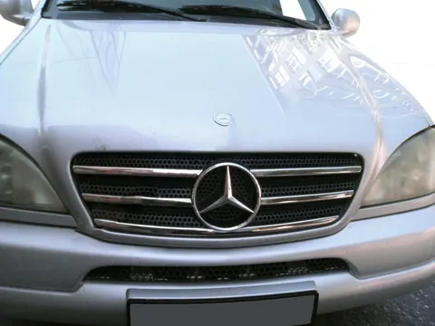 Накладки на кант решітки (5 шт, нерж) для Mercedes ML W163 1997-2005 рр — Mercedes ML W163 1997-2005 гг. DianaParts