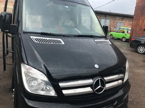 Накладки на решітку (2006-2013, нерж) OmsaLine - Італійська нержавейка для Mercedes Sprinter W906 рр — Mercedes Sprinter W906 2006–2018 гг. DianaParts