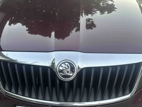 Емблема 5J0853621 (89 мм) для Skoda — Skoda DianaParts