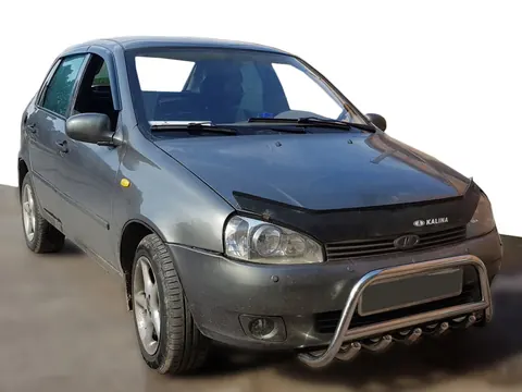 Кенгурятник WT003 (42мм, нерж) для Lada Kalina 2004-2011 рр — Lada Kalina 2004-2011 гг. DianaParts