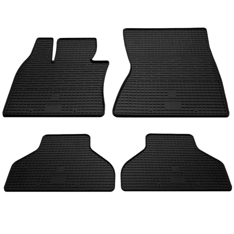 Гумові килимки (4 шт, Stingray Premium) для BMW X6 E71 2008-2014 рр — BMW X6 E71 2008-2014 гг. DianaParts