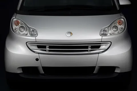 Передняя защита решетка для Smart 2007-2014 рр — Smart 2007-2014 гг. DianaParts