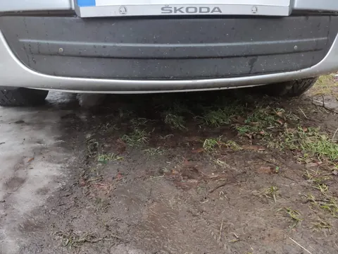 Зимова накладка на решітку (нижня) Матова для Skoda Octavia II A5 2010-2013 рр — Skoda Octavia II A5 2010-2013 гг. DianaParts