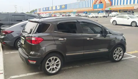 Молдинг дверей (4 шт, нерж) для Ford Ecosport 2013-2022 рр — Ford Ecosport 2013-2022 гг. DianaParts