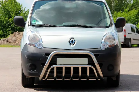 Кенгурятник WT002 (нерж.) для Renault Kangoo 2008-2020 рр — Renault Kangoo 2008–2020 гг. DianaParts