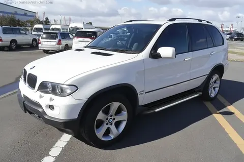 Бокові пороги Bosphorus Grey (2 шт, алюм.) для BMW X5 E53 1999-2006 рр — BMW X5 E53 1999–2006 гг. DianaParts