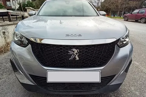 Накладка на капот (1 шт, нерж) для Peugeot 2008 2019- рр — Peugeot 2008 2019- гг. DianaParts