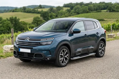 Бокові пороги Tayga V2 (2 шт, алюміній) для Citroen C5 Aircross 2017-2025 рр — Citroen C5 Aircross 2017-2025 гг. DianaParts