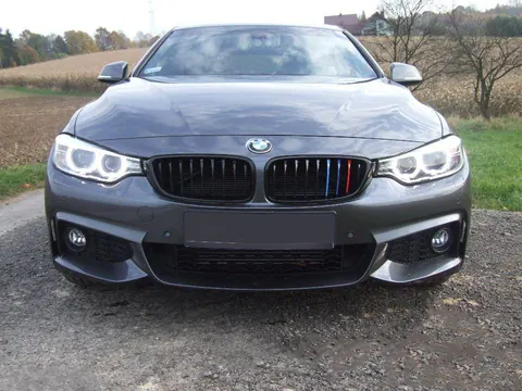 Накладки на решітку для F36 (3 шт) для BMW 4 серія F32/F33/F36 2012-2020 рр — BMW 4 серия F32/F33/F36 2012-2020 гг. DianaParts