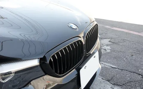 Ніздрі 1 Bar (2017-2020, Чорний глянець) для BMW 5 серія G30/G31 рр — BMW 5 серия G30/G31 2017-2023 гг. DianaParts