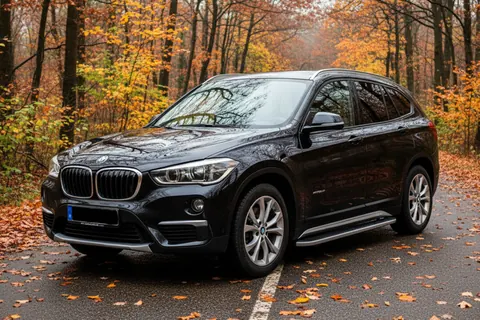Бокові пороги Tayga Grey (2 шт., Алюміній) для BMW X1 F48 2015-2022 рр — BMW X1 F48 2015-2022 гг. DianaParts