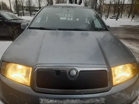 Зимова накладка на решітку Матова для Skoda Fabia 2000-2007 рр — Skoda Fabia 2000-2007 гг. DianaParts