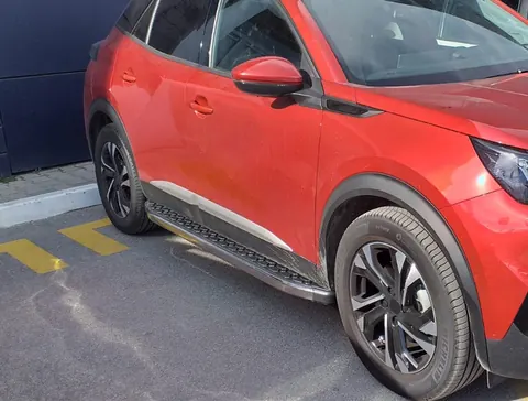 Молдинг дверний (4 шт, нерж) для Peugeot 2008 2019- рр — Peugeot 2008 2019- гг. DianaParts
